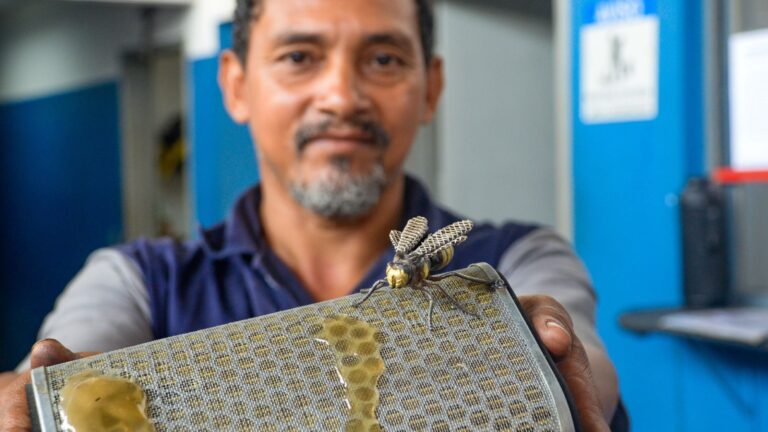 Funcionário do setor de lanternagem e pintura do DER transforma resíduos em esculturas