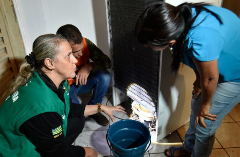 Saúde adverte sobre importância de intensificar combate ao Aedes aegypti no período de férias