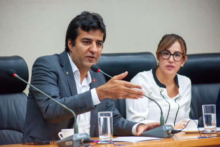 Comissão de Saúde realiza audiência pública sobre comitê gestor de saúde