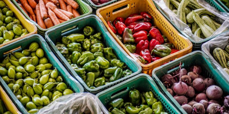Cúpula se encerra na França com US$ 27,55 bilhões para nutrição