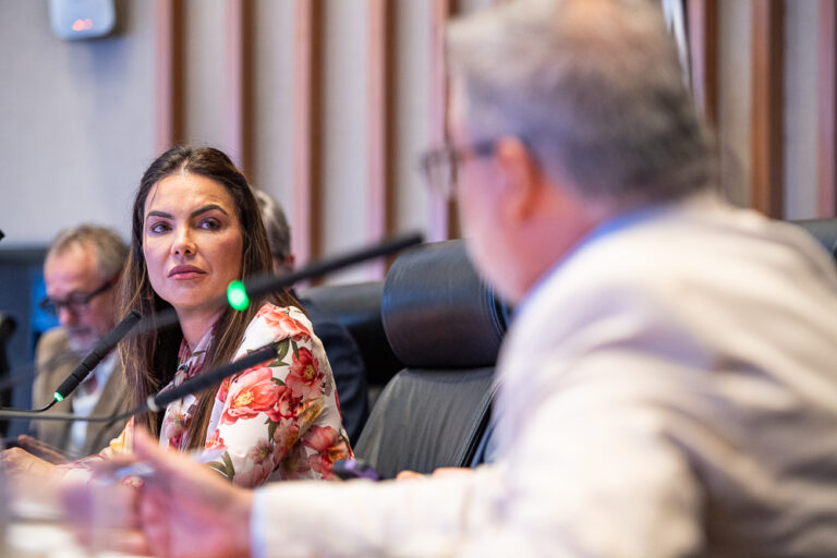 Pesquisadores denunciam falta de transparência de órgãos ambientais na divulgação de dados