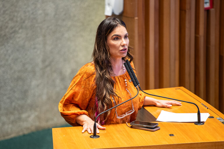 Distritais denunciam sobrecarga das UPAs