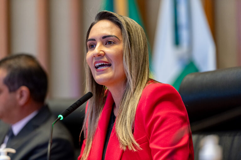 CLDF aprova política de combate à “pornografia de vingança” 