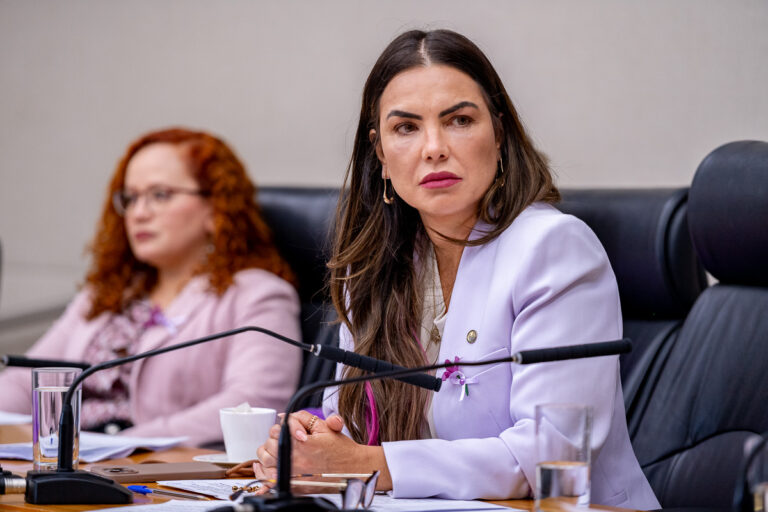 CLDF homenageia profissionais que combatem o feminicídio