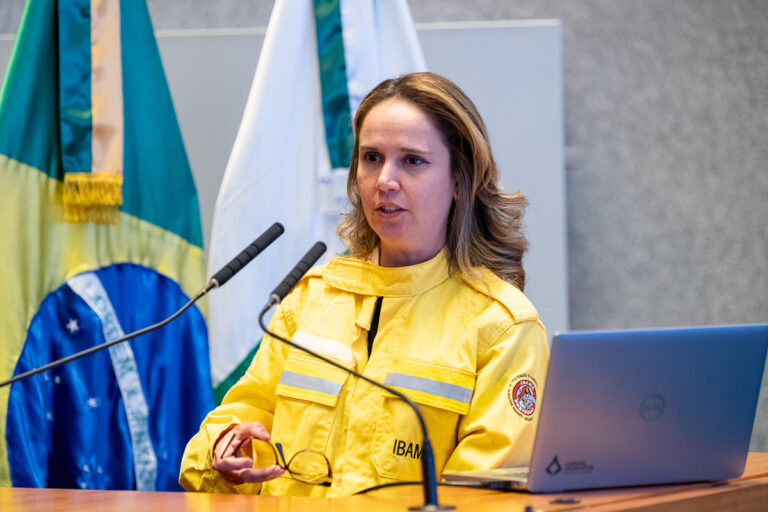 Novo regime de fogo: comissão geral elenca desafios e conquistas no combate a incêndios