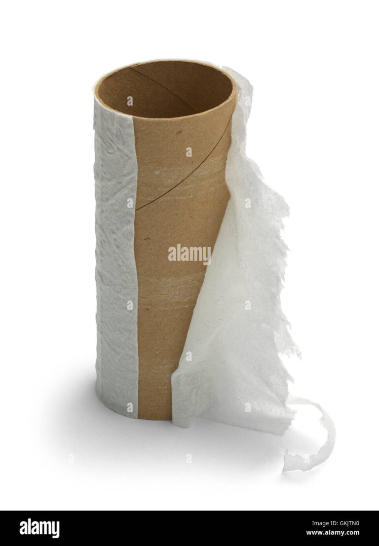 O PAPEL DAS FORÇAS ARMADAS