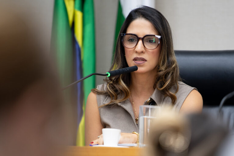Com participação da mãe de Isabella Nardoni, CLDF encerra Semana pela 1ª Infância