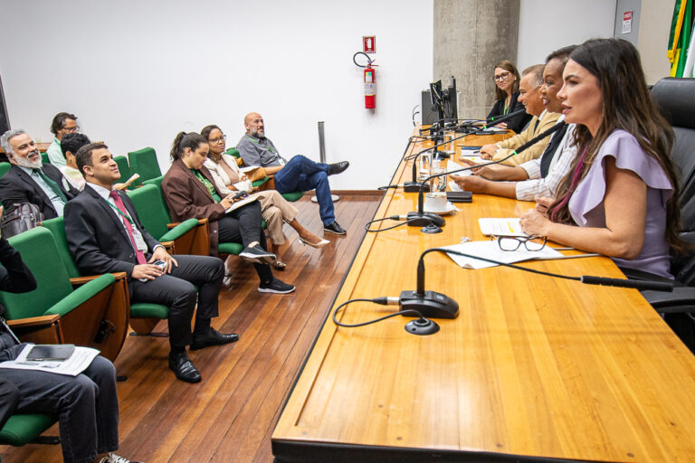 Comissão dos Direitos da Mulher aprova proposições e comemora um ano de atuação