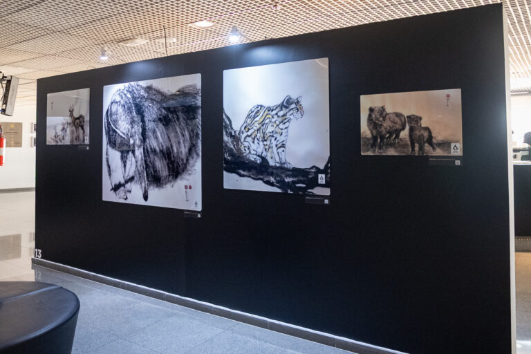 Exposição traz releitura de tradição de pintura japonesa a partir do vigor do Cerrado 