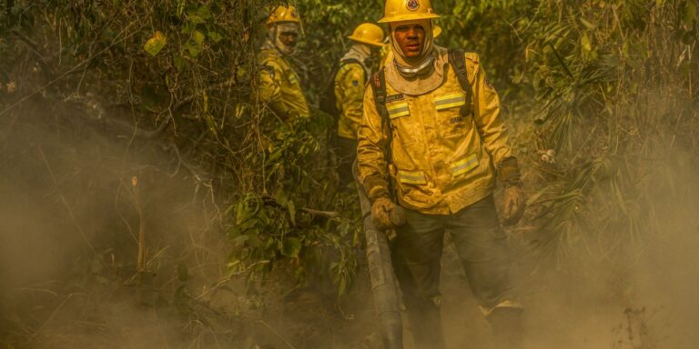 Fotógrafo da Agência Brasil é destaque em prêmio internacional