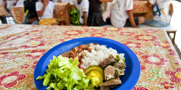 Câmara aprova projeto de compra de alimentos para merenda escolar