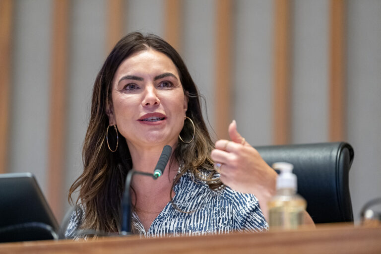 CLDF celebra famílias que acolhem crianças e adolescentes vulneráveis