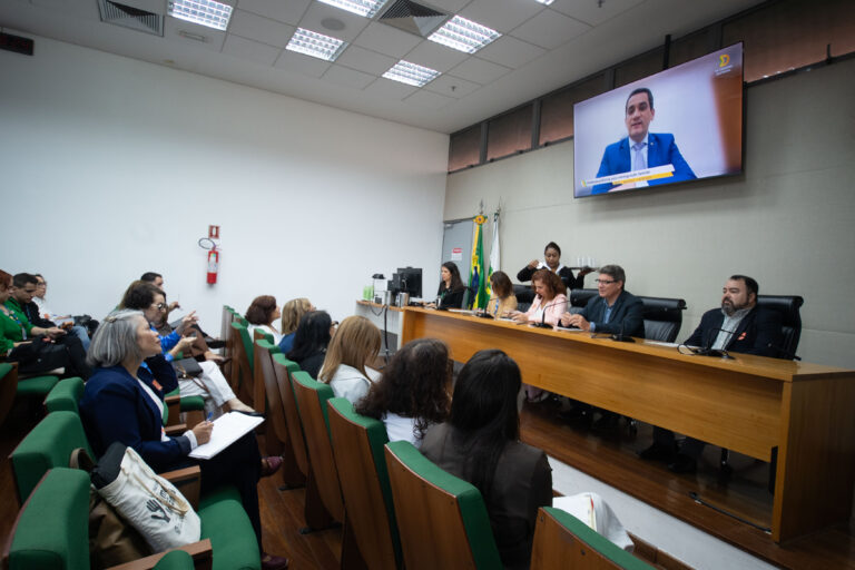 Seminário debate reintegração familiar e acolhimento de crianças e adolescentes