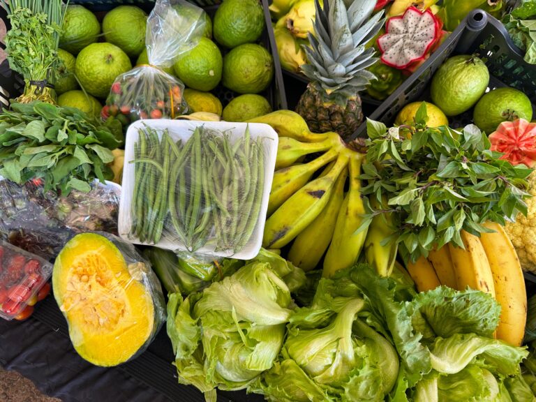 Governo beneficia mais de 2 mil produtores da agricultura familiar