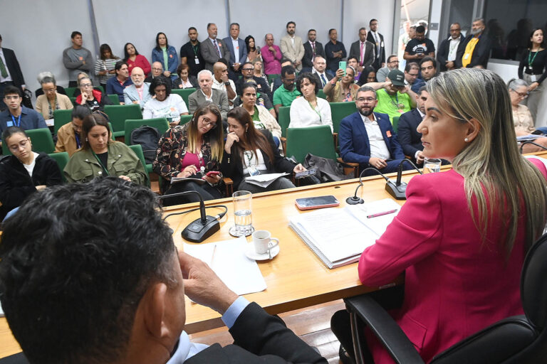 Plano Diretor de Ordenamento Territorial é aprovado pela CAF