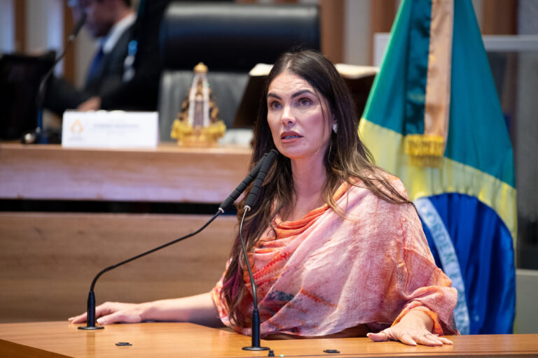 CLDF aprova projeto de Paula Belmonte para combater devedor contumaz no comércio local