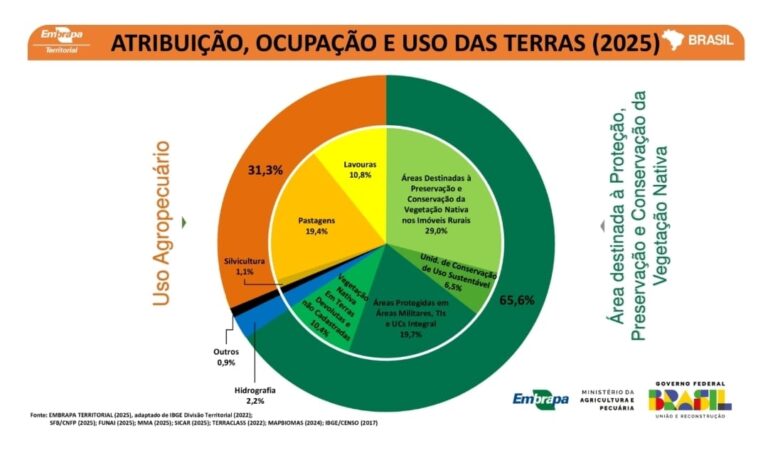 Em tempos de COP-30, a narrativa caiu: dados da Embrapa mostram que 65,6% do Brasil permanece coberto por vegetação nativa.