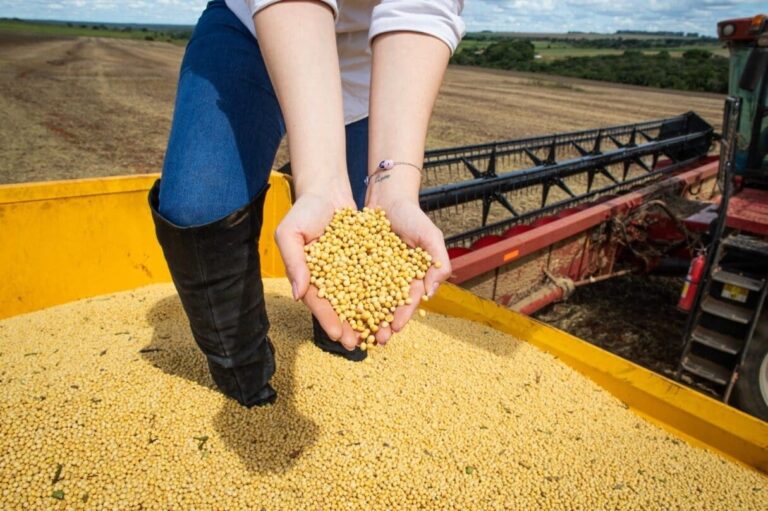 Impulsionado pelo agronegócio e indústria, PIB de Goiás cresce 4,8% em 2023 e supera média nacional
