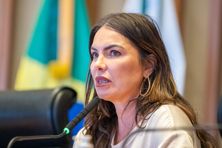 Câmara Legislativa realiza audiência pública no Varjão nesta segunda (17)