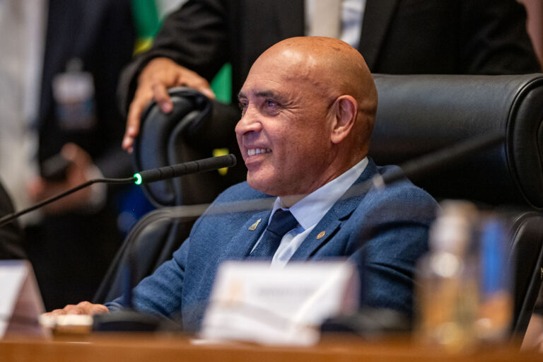 Plenário da Câmara Legislativa aprova 333 proposições em 2025