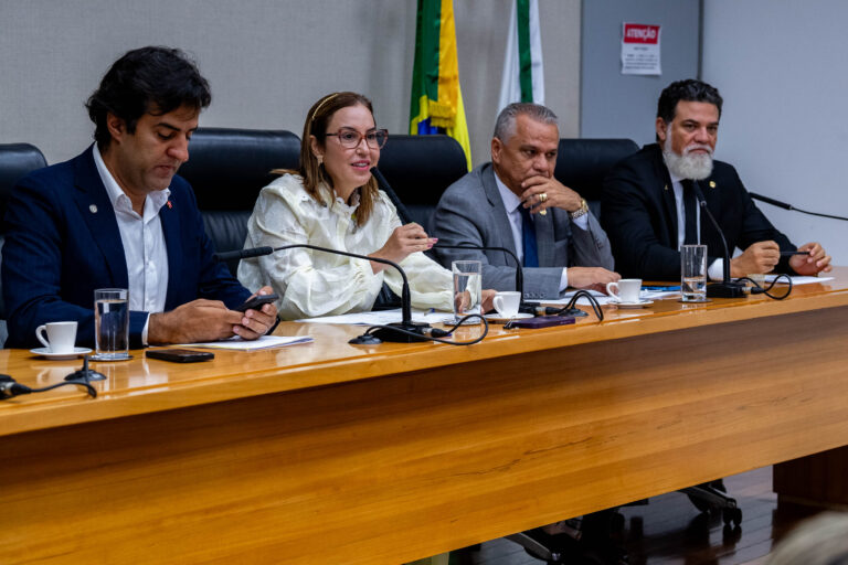 Garantia de atendimento especializado a crianças e adolescentes vítimas de violência 