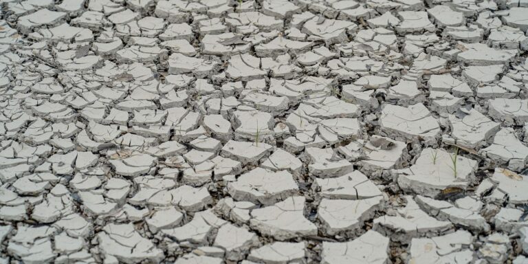 Estiagem: quinze cidades têm situação de emergência decretada