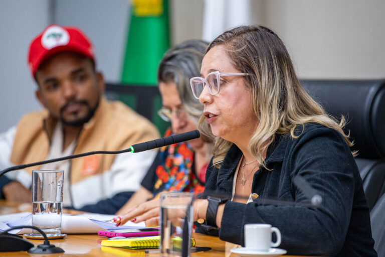 Educação do campo no DF: audiência aponta déficit de vagas e conflitos territoriais