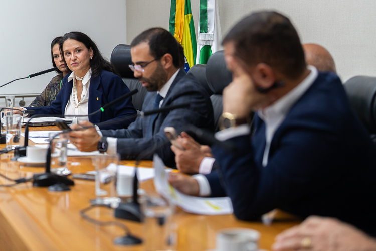 CCJ aprova indicação de Diana de Almeida Ramos para Procuradoria-Geral do DF