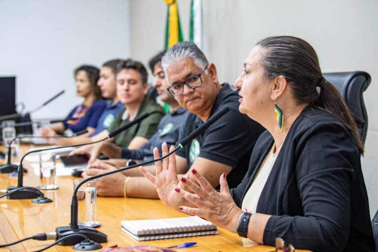 Diretores de escolas públicas bilíngues cobram investimentos e alteração de lei distrital