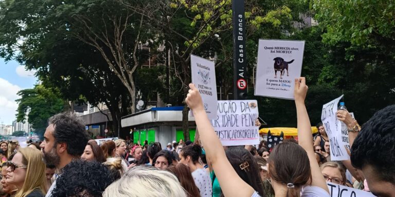 Cão Orelha: Justiça arquiva caso a pedido do Ministério Público