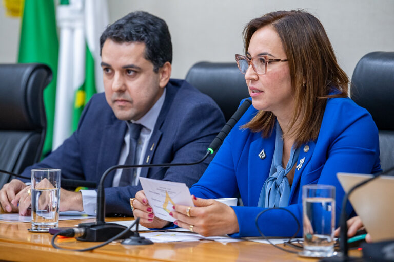 Secretaria de Saúde presta contas sobre 3º quadrimestre de 2025 à Câmara Legislativa