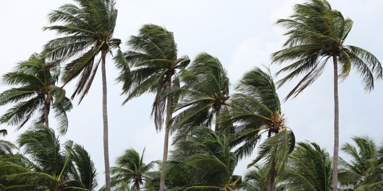 Bombeiros encontram corpo em praia de Paraty após ventania no RJ